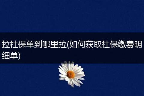 拉社保单到哪里拉(如何获取社保缴费明细单)