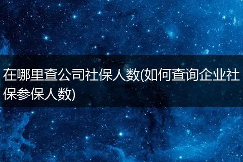 在哪里查公司社保人数(如何查询企业社保参保人数)