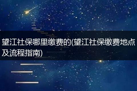 望江社保哪里缴费的(望江社保缴费地点及流程指南)