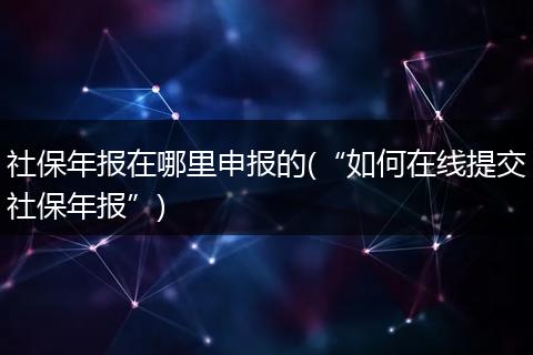 社保年报在哪里申报的(“如何在线提交社保年报”)