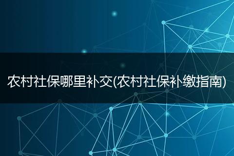 农村社保哪里补交(农村社保补缴指南)