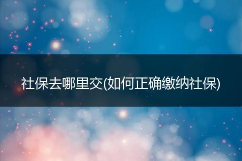 社保去哪里交(如何正确缴纳社保)