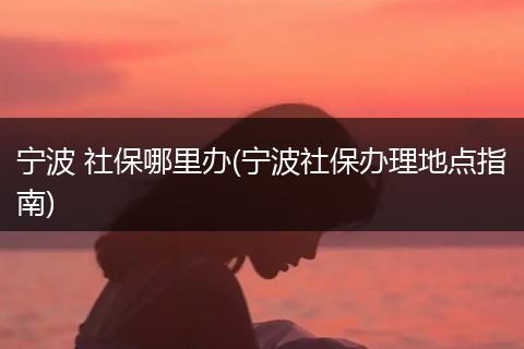 宁波 社保哪里办(宁波社保办理地点指南)