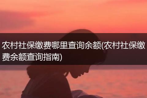 农村社保缴费哪里查询余额(农村社保缴费余额查询指南)