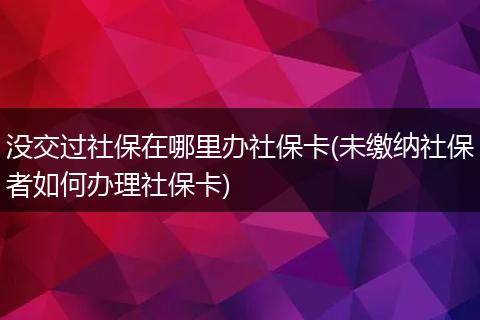 没交过社保在哪里办社保卡(未缴纳社保者如何办理社保卡)