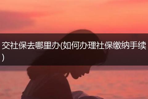 交社保去哪里办(如何办理社保缴纳手续)