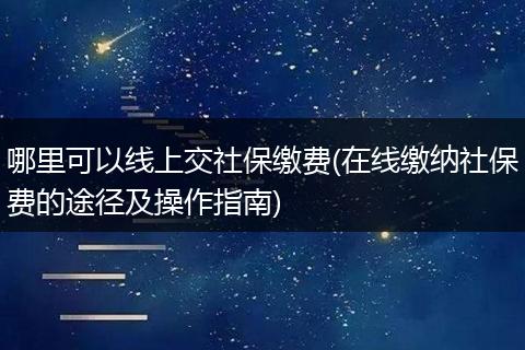 哪里可以线上交社保缴费(在线缴纳社保费的途径及操作指南)
