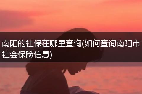 南阳的社保在哪里查询(如何查询南阳市社会保险信息)