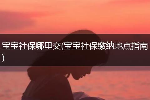 宝宝社保哪里交(宝宝社保缴纳地点指南)