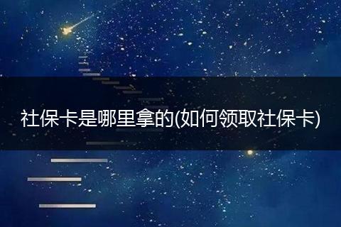 社保卡是哪里拿的(如何领取社保卡)