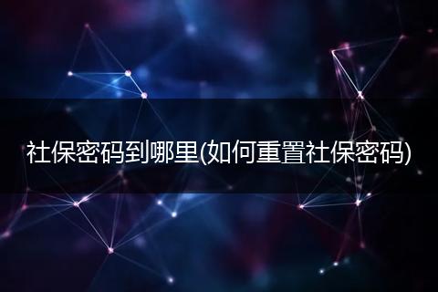 社保密码到哪里(如何重置社保密码)