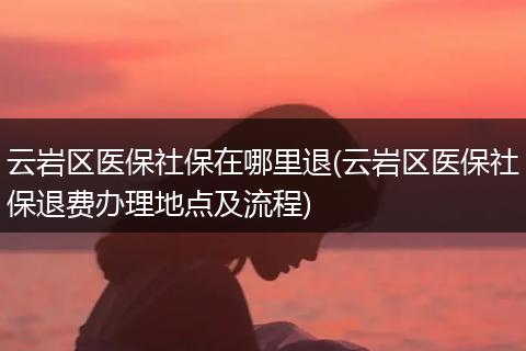 云岩区医保社保在哪里退(云岩区医保社保退费办理地点及流程)