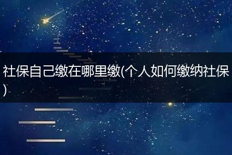 社保自己缴在哪里缴(个人如何缴纳社保)