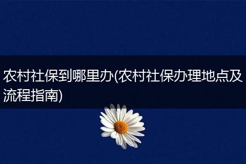 农村社保到哪里办(农村社保办理地点及流程指南)