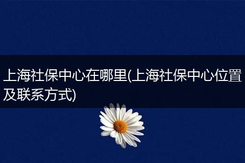 上海社保中心在哪里(上海社保中心位置及联系方式)