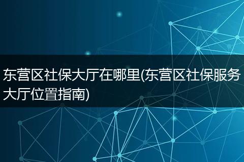 东营区社保大厅在哪里(东营区社保服务大厅位置指南)