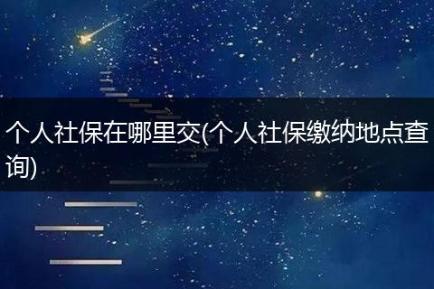 个人社保在哪里交(个人社保缴纳地点查询)