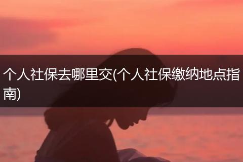 个人社保去哪里交(个人社保缴纳地点指南)