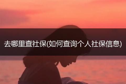 去哪里查社保(如何查询个人社保信息)