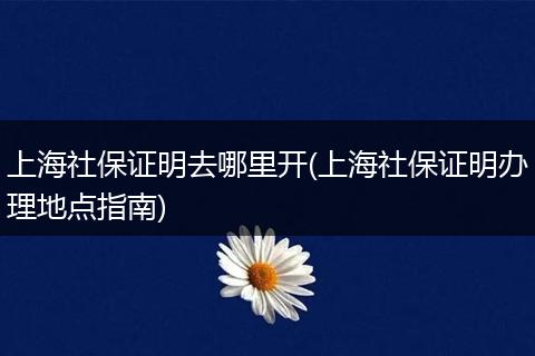 上海社保证明去哪里开(上海社保证明办理地点指南)