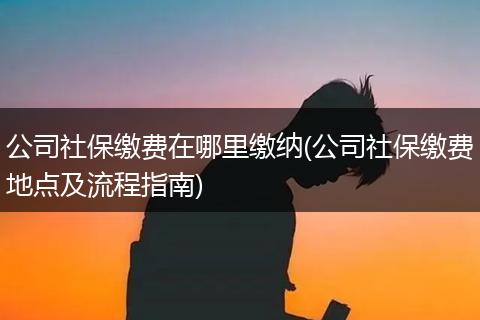 公司社保缴费在哪里缴纳(公司社保缴费地点及流程指南)
