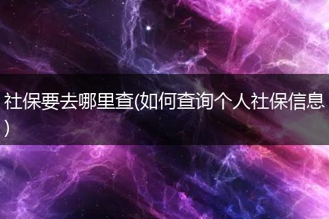 社保要去哪里查(如何查询个人社保信息)