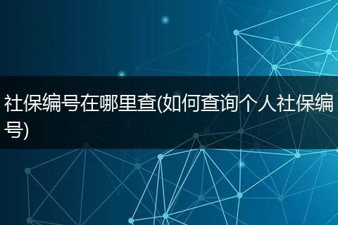 社保编号在哪里查(如何查询个人社保编号)