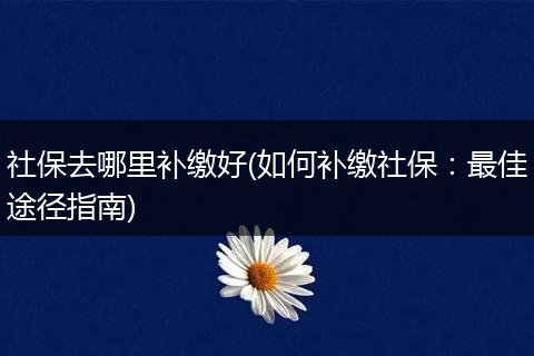 社保去哪里补缴好(如何补缴社保：最佳途径指南)