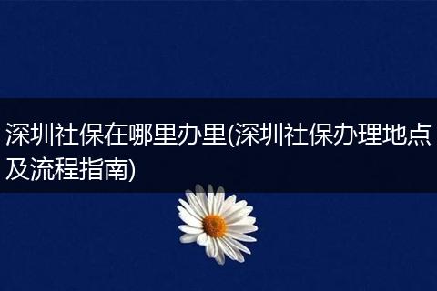 深圳社保在哪里办里(深圳社保办理地点及流程指南)