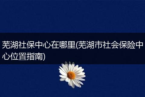 芜湖社保中心在哪里(芜湖市社会保险中心位置指南)
