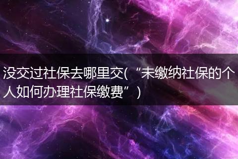 没交过社保去哪里交(“未缴纳社保的个人如何办理社保缴费”)