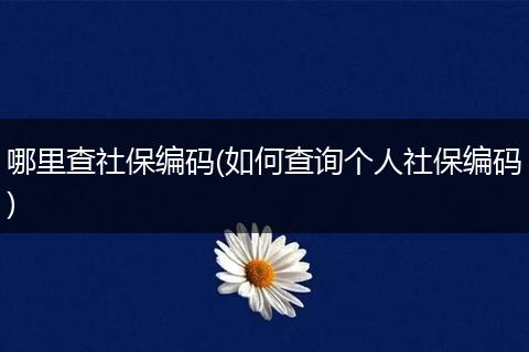 哪里查社保编码(如何查询个人社保编码)