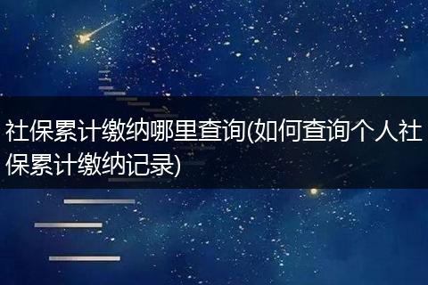 社保累计缴纳哪里查询(如何查询个人社保累计缴纳记录)