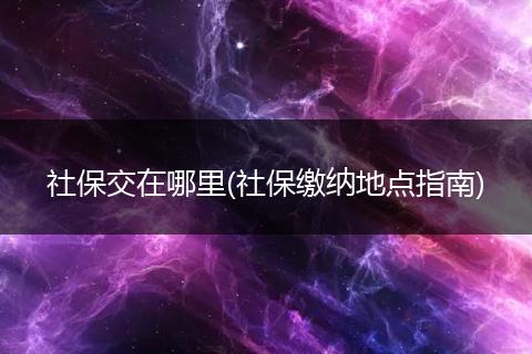 社保交在哪里(社保缴纳地点指南)