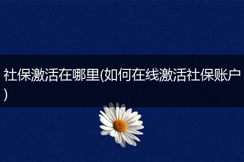 社保激活在哪里(如何在线激活社保账户)