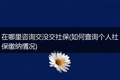在哪里咨询交没交社保(如何查询个人社保缴纳情况)