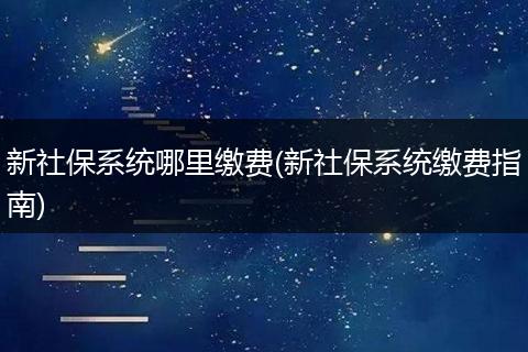 新社保系统哪里缴费(新社保系统缴费指南)