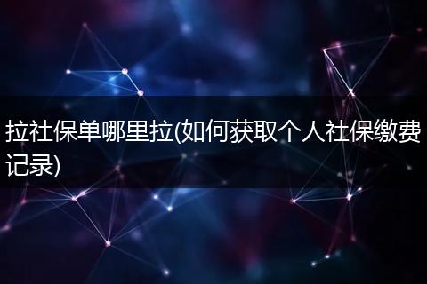 拉社保单哪里拉(如何获取个人社保缴费记录)