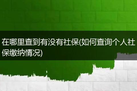 在哪里查到有没有社保(如何查询个人社保缴纳情况)