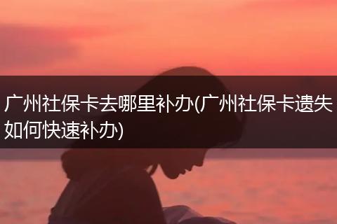 广州社保卡去哪里补办(广州社保卡遗失如何快速补办)