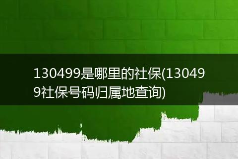 130499是哪里的社保(130499社保号码归属地查询)