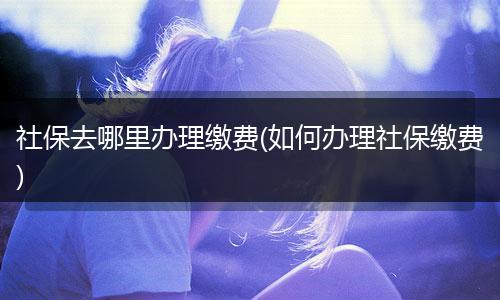社保去哪里办理缴费(如何办理社保缴费)