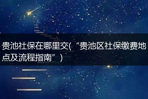 贵池社保在哪里交(“贵池区社保缴费地点及流程指南”)