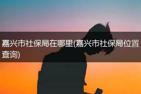 嘉兴市社保局在哪里(嘉兴市社保局位置查询)