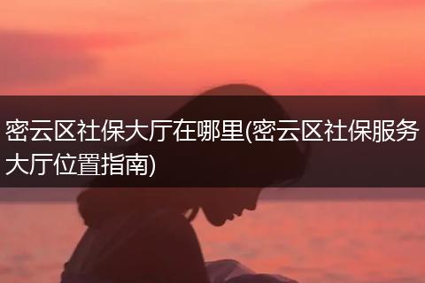 密云区社保大厅在哪里(密云区社保服务大厅位置指南)