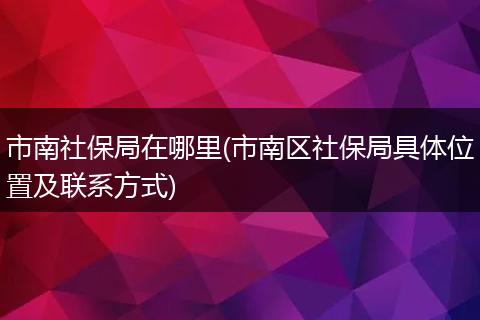 市南社保局在哪里(市南区社保局具体位置及联系方式)