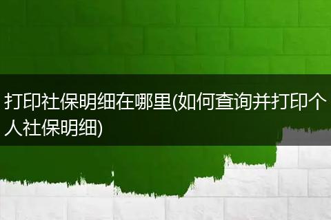 打印社保明细在哪里(如何查询并打印个人社保明细)