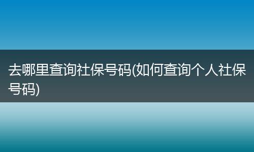 去哪里查询社保号码(如何查询个人社保号码)