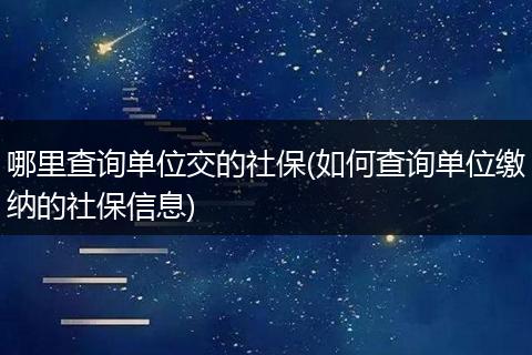 哪里查询单位交的社保(如何查询单位缴纳的社保信息)