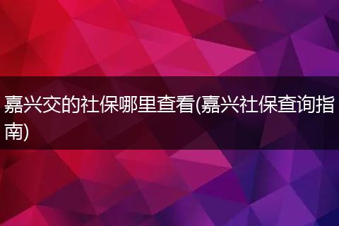 嘉兴交的社保哪里查看(嘉兴社保查询指南)